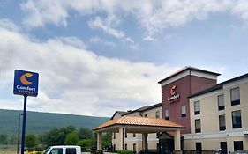 Comfort Suites Altoona Pa